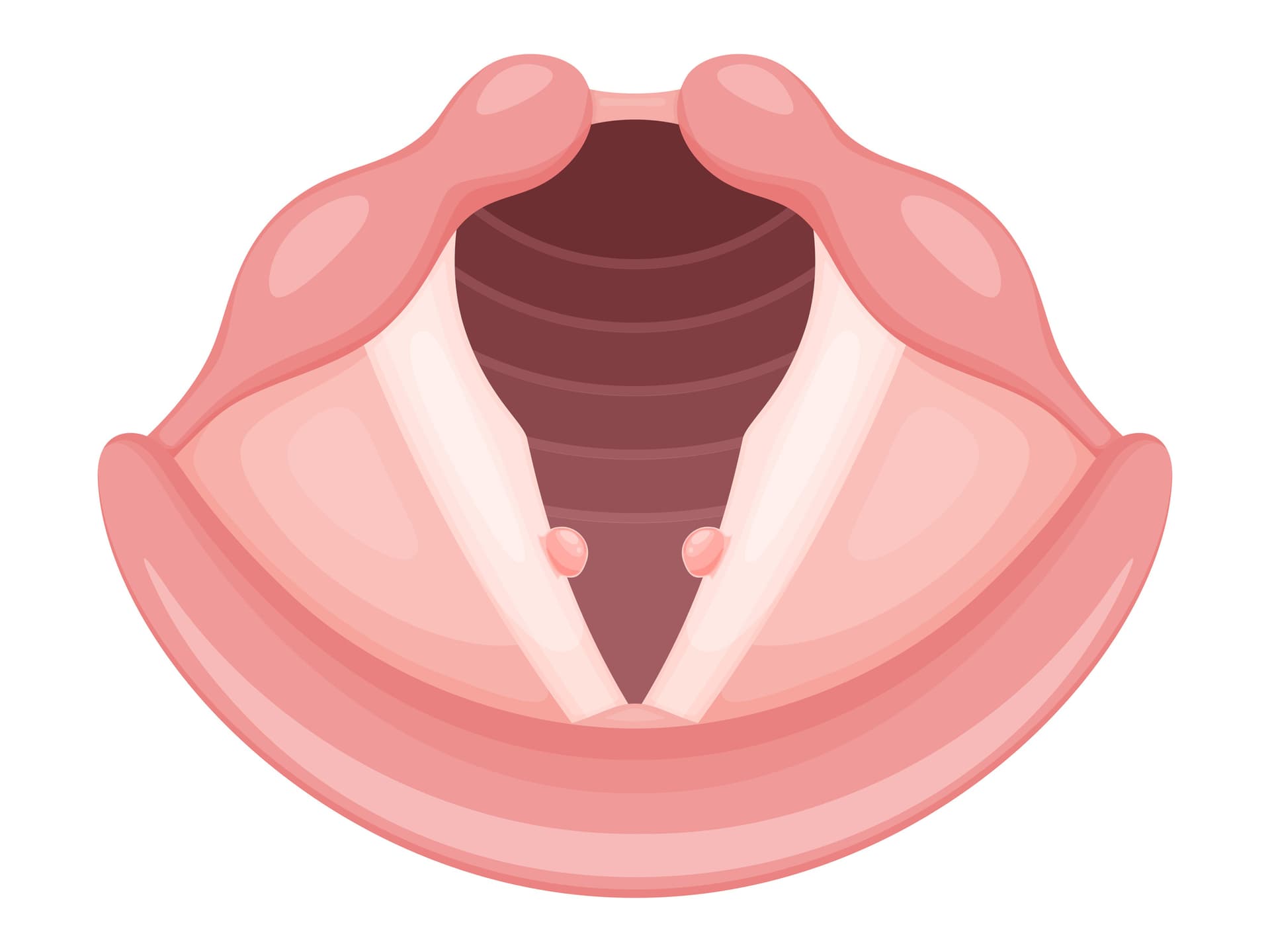 The Dreaded Vocal Node: Are Vocal Cord Nodules Really That Scary? Demystifying Misconceptions
